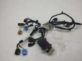 Cableado de puerta trasera