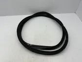 Trunk rubber seal (body)