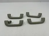 A set of handles for the ceiling