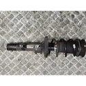 Front shock absorber with coil spring