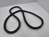 Rear door rubber seal (on body)