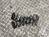 Rear coil spring