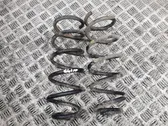 Rear coil spring