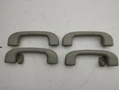 A set of handles for the ceiling