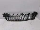 Front bumper lower grill