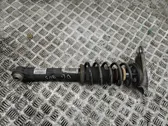 Rear shock absorber with coil spring