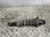 Rear shock absorber/damper