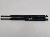 Tailgate/trunk strut/damper