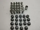 Nuts/bolts