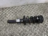 Front shock absorber/damper