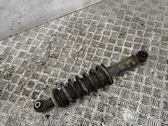 Rear shock absorber/damper