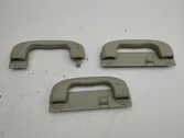 A set of handles for the ceiling