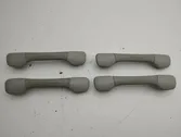 A set of handles for the ceiling