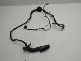 Front door wiring loom