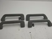 A set of handles for the ceiling