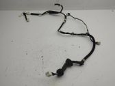 Rear door wiring loom