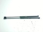Front bonnet/hood damper/strut