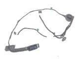 Rear door wiring loom