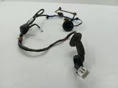 Rear door wiring loom