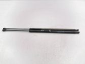Front bonnet/hood damper/strut