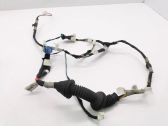 Front door wiring loom