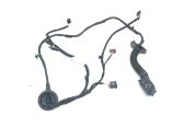 Rear door wiring loom