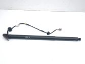 Tailgate/trunk strut/damper