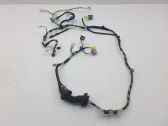 Front door wiring loom