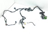 Front door wiring loom