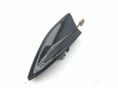 Radio antenna