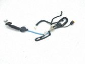 Cableado de puerta trasera