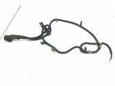 Cables (motor de arranque)