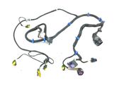 Front door wiring loom