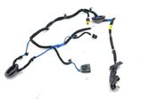 Rear door wiring loom