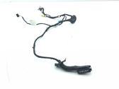 Front door wiring loom