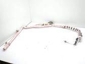 Roof airbag