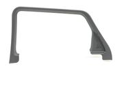 Rear door glass trim molding