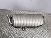 Muffler/silencer