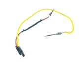 Abgastemperatursensor