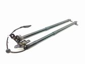 Tailgate/trunk strut/damper