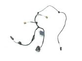 Rear door wiring loom