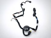 Rear door wiring loom