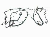Other wiring loom
