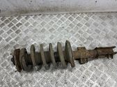 Front shock absorber/damper