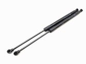 Tailgate/trunk strut/damper
