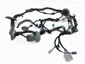 Front door wiring loom
