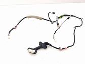 Rear door wiring loom