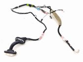 Rear door wiring loom