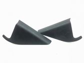 Rear door glass trim molding