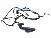 Rear door wiring loom